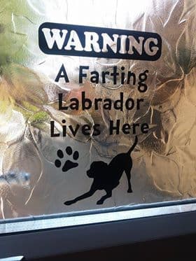 A Farting Labrador Lives Here - Window Door Or Fridge Sticker