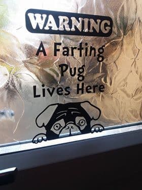 A Farting Pug Lives Here - Window Door Or Fridge Sticker