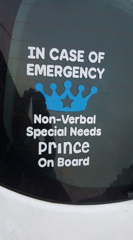 In Case Of Emergency - Non-Verbal Special Needs Prince On Board