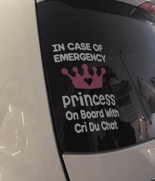In Case Of Emergency - Princess On Board With Cri Du Chat
