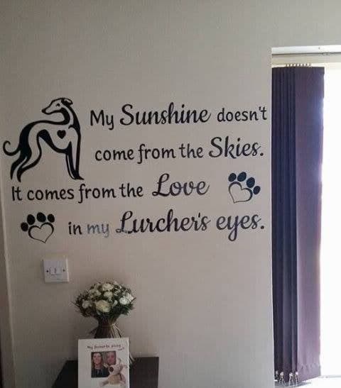 My Sunshine Doesn't Come From The Skies. It Comes From The Love In My Lurcher's Eyes